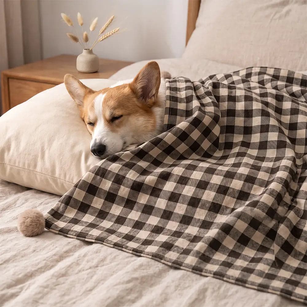 FunnyFuzzy — photo 2