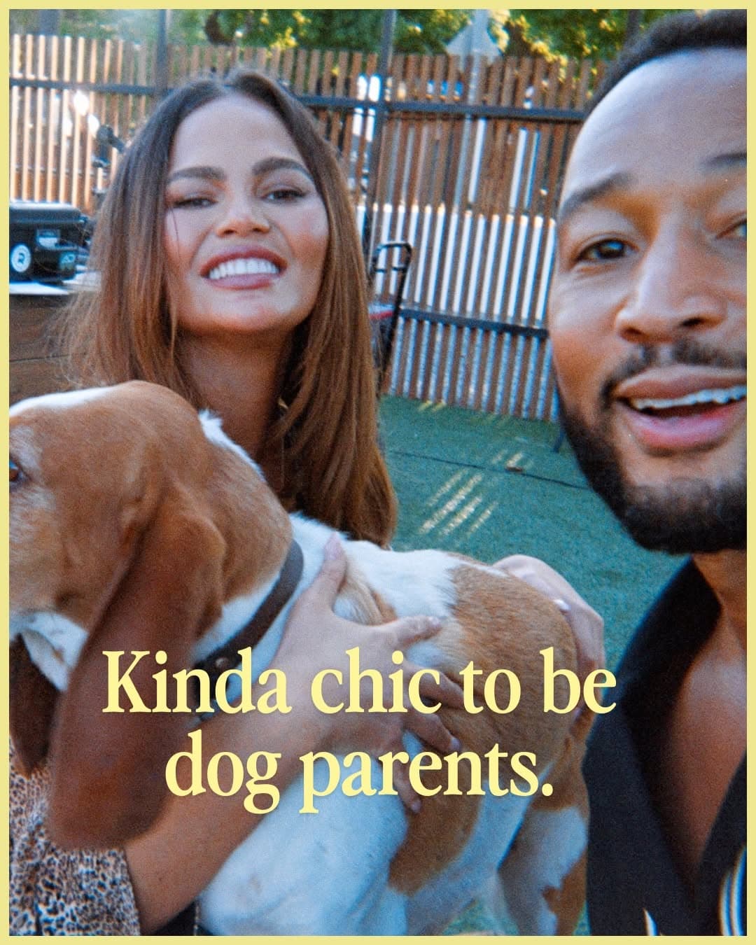 DOG PPL — photo 2