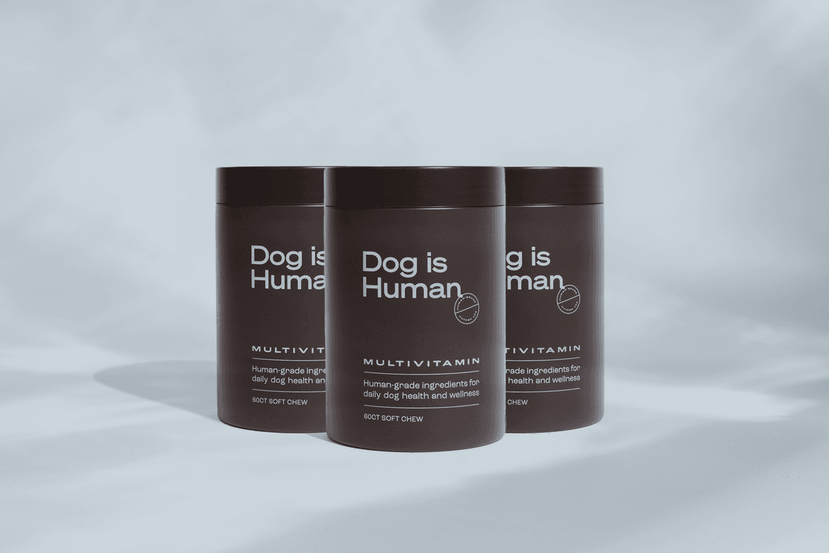 Dog is human — photo 4