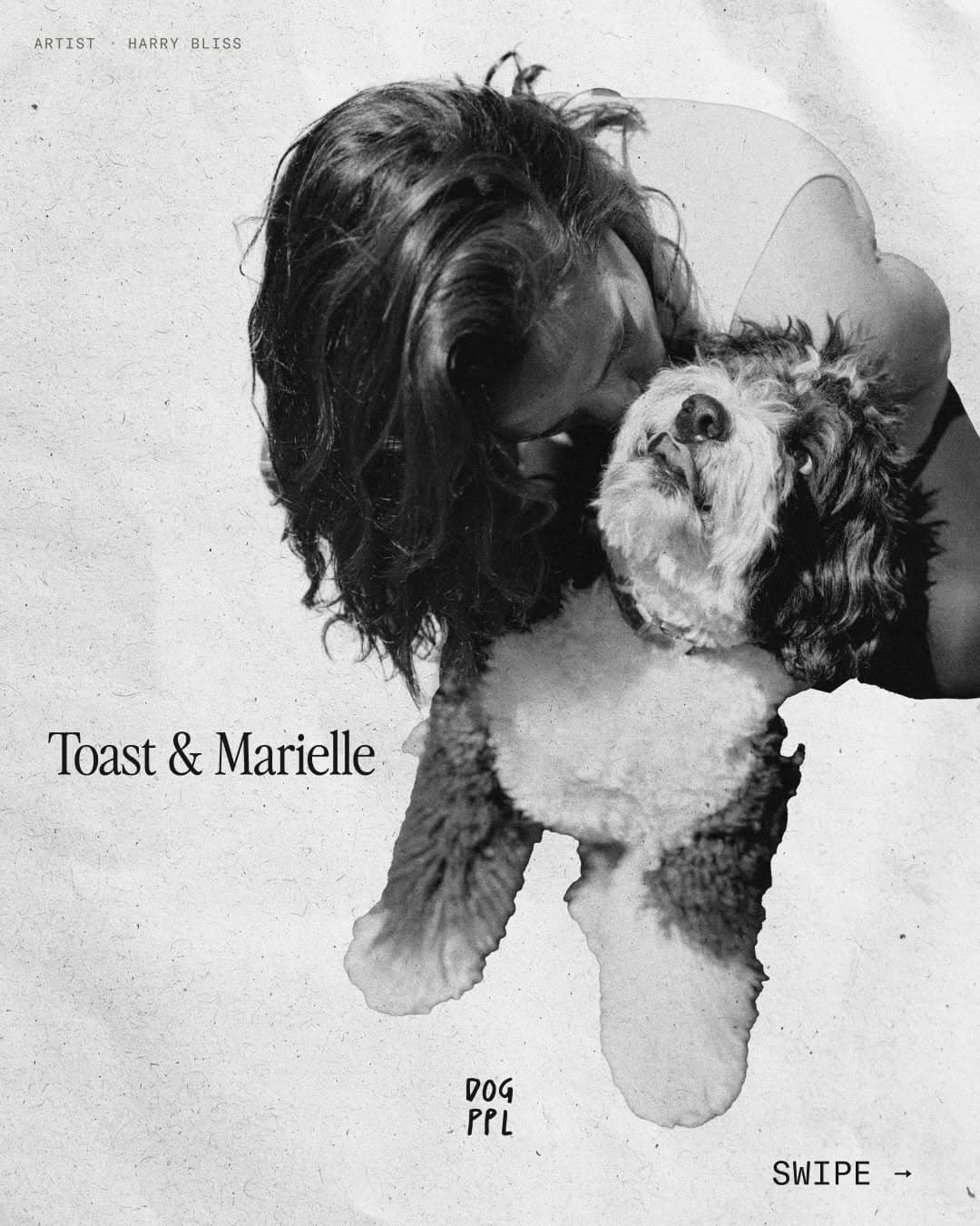 DOG PPL — photo 1